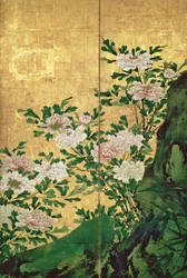 Détail de fleurs